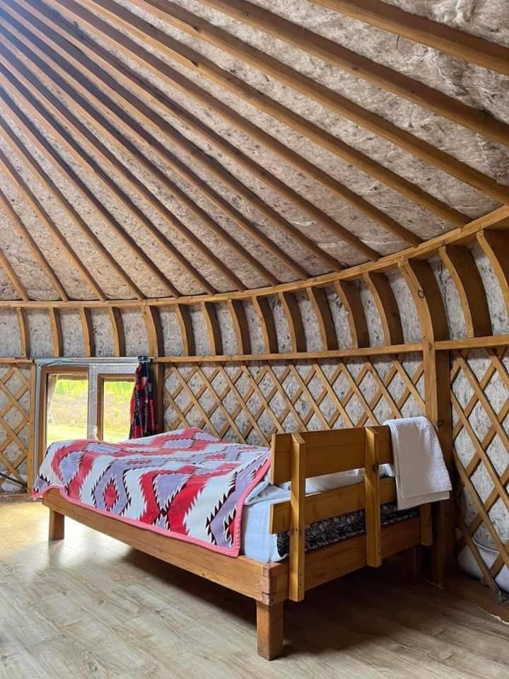 Hotel Apache Eco Camp, Terelj Nationalpark Mongolia Bayan Bulagiin Hural Zewnętrze zdjęcie